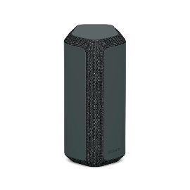 Parlante Inalámbrico Sony SRS-XE300/BCLA Negro