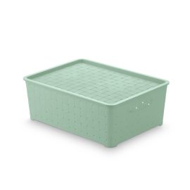 Caja organizadora con tapa Color menta